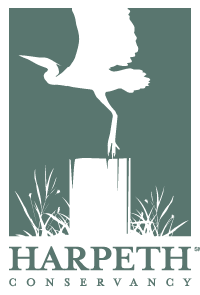 Harpeth Conservancy blue heron logo