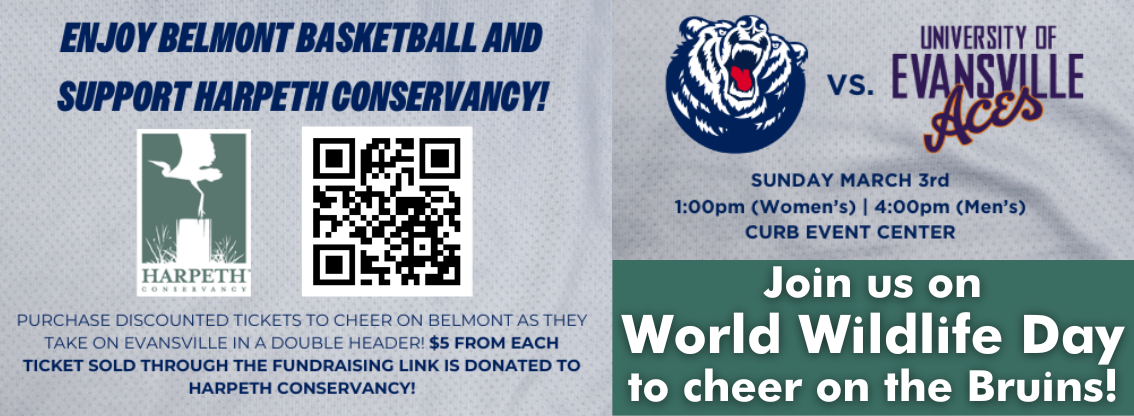 World Wildlife Day at Belmont Basketball