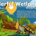 Wonderful Wetlands Webinar