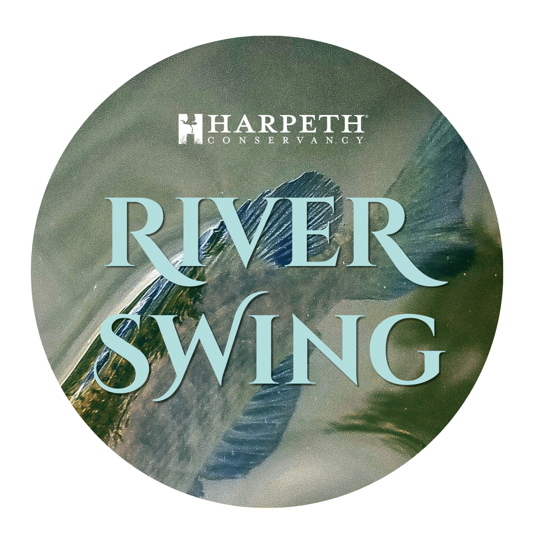 River Swing